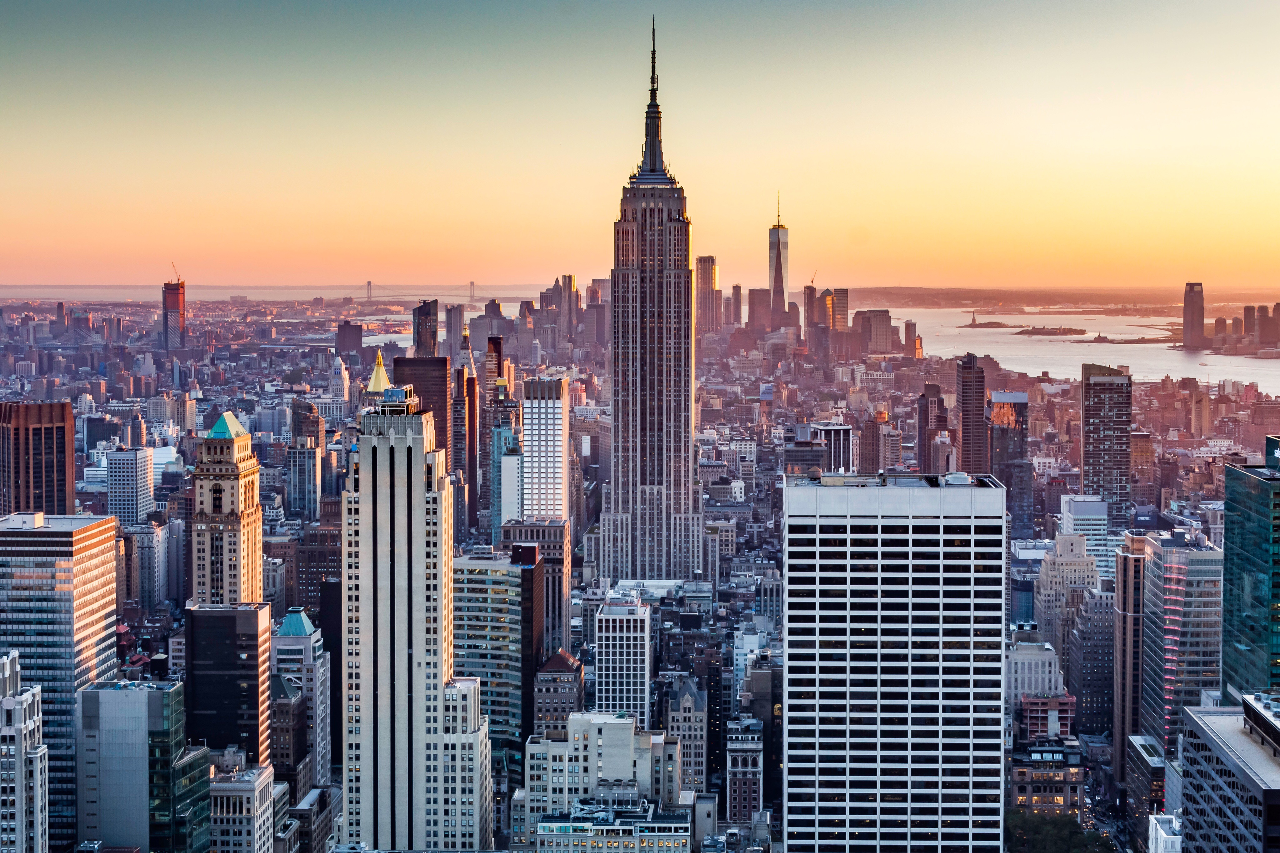 25 years old brand with almost 100% success rate in delivery